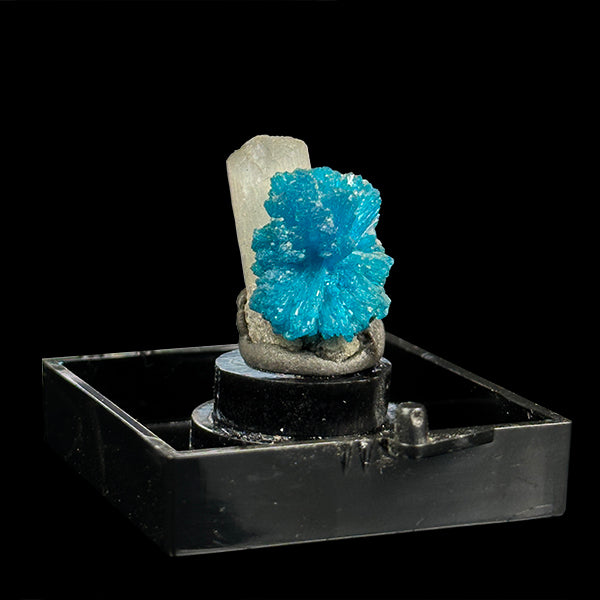 Cavansite with Stilbite Natural Mineral Specimen. G #0406