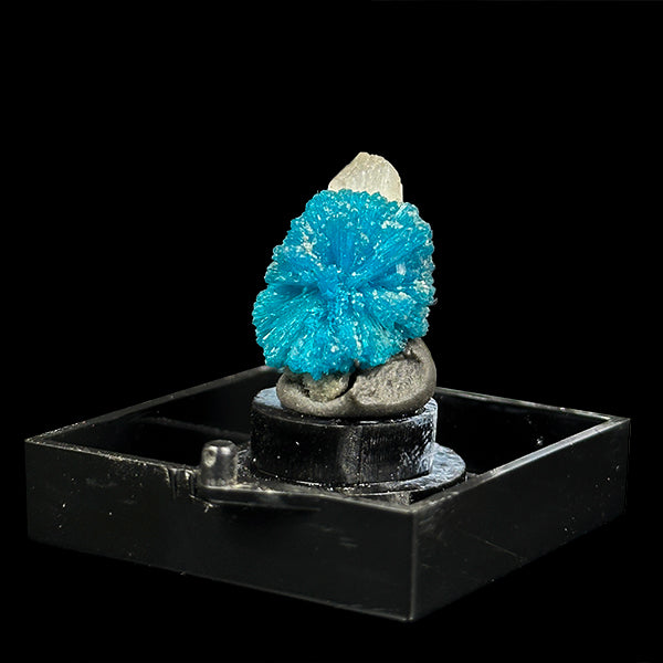 Cavansite with Stilbite Natural Mineral Specimen. G #0406