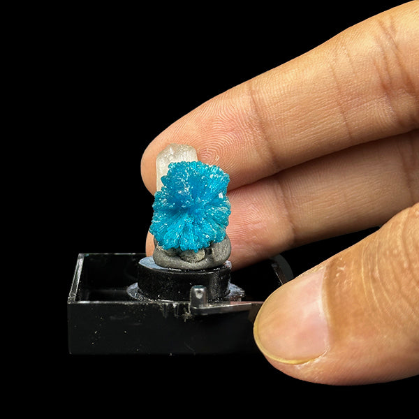 Cavansite with Stilbite Natural Mineral Specimen. G #0406