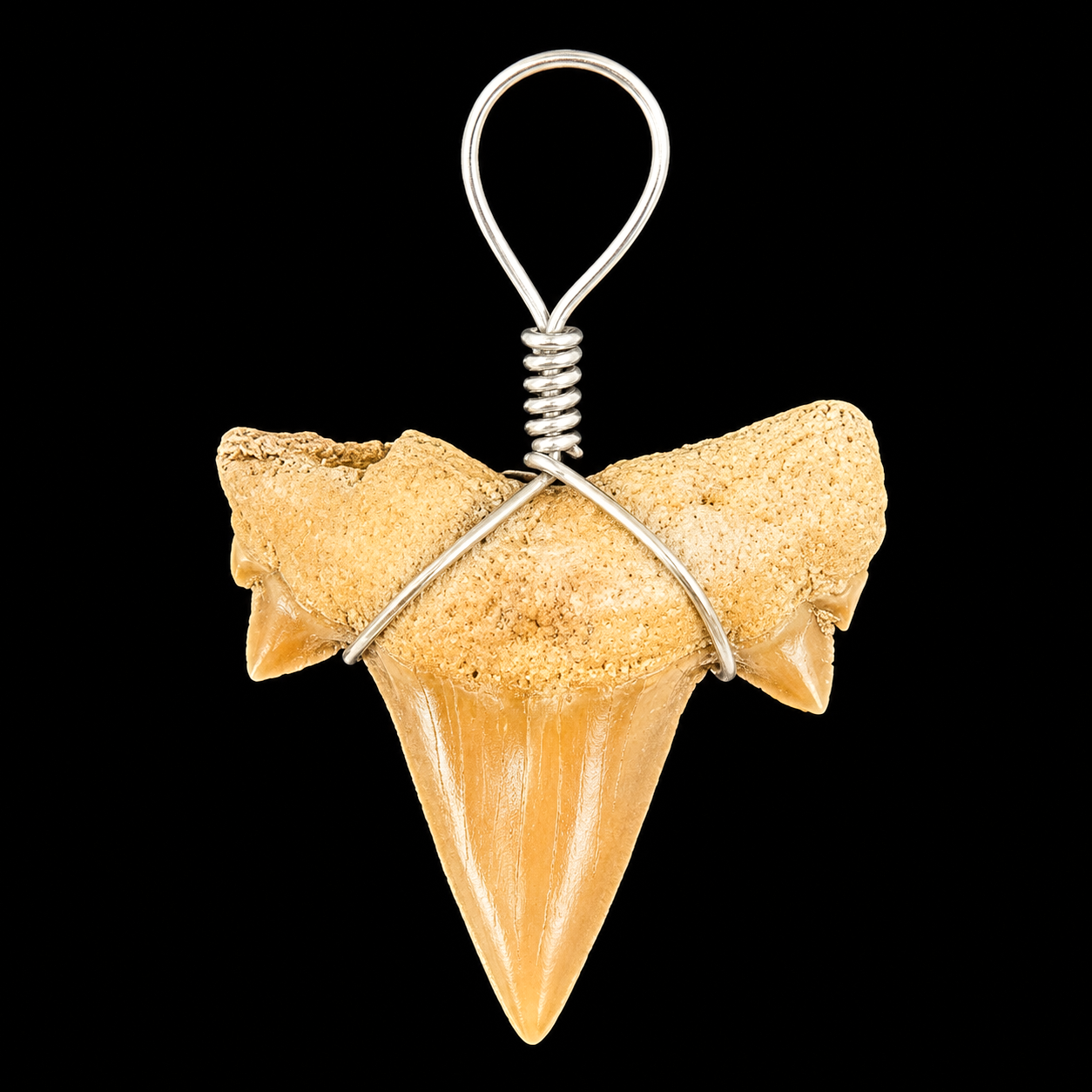 Natural Shark Tooth Pendant | Genuine Pendent.