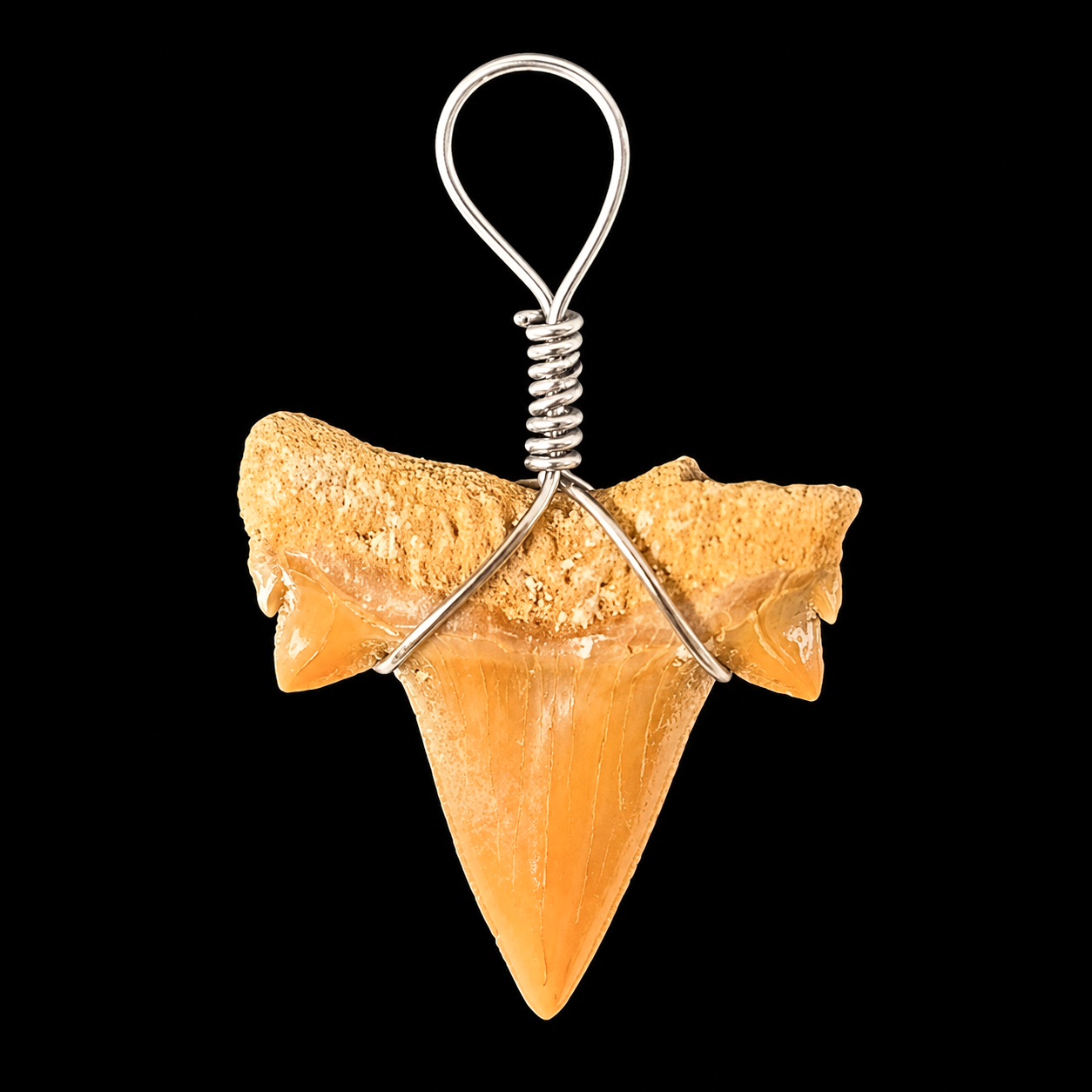 Natural Shark Tooth Pendant | Genuine Pendent.