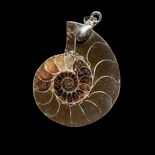 Ammonite pendant