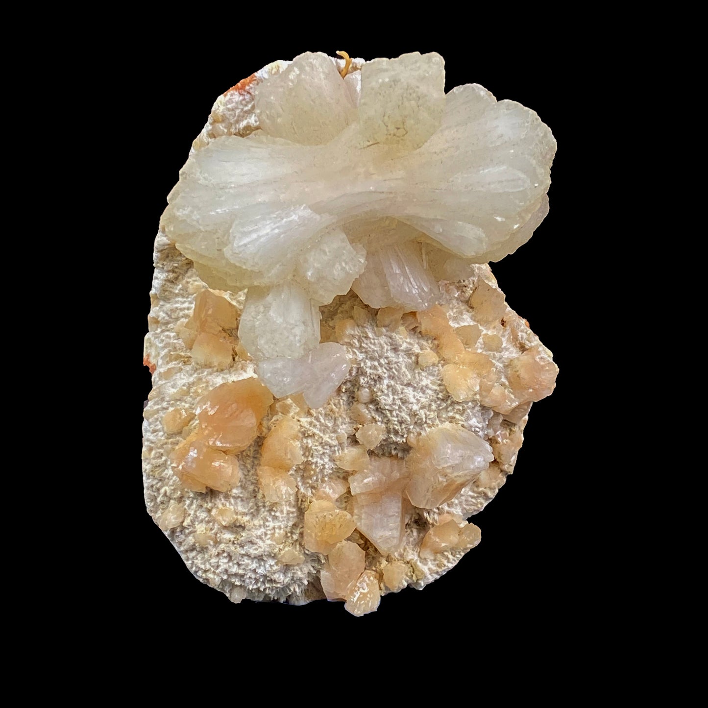 Stilbite Bow-Tie with Heulandite Mordenite Natural Mineral Specimen. G #0377