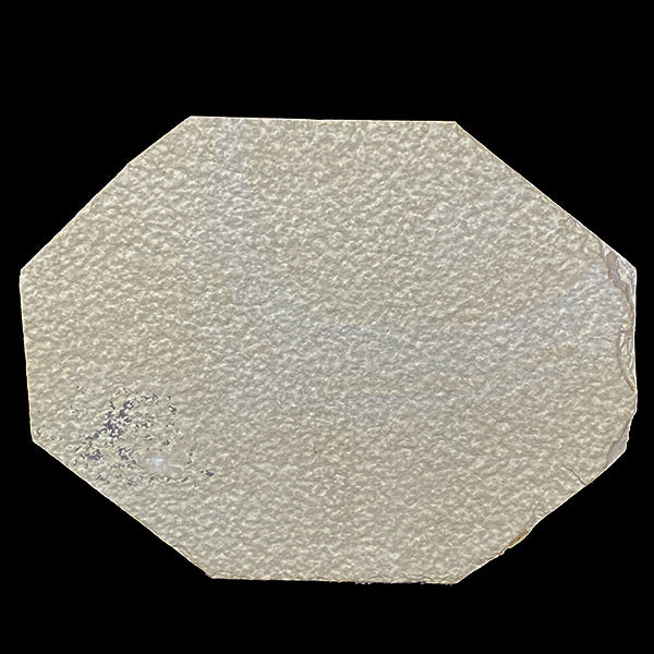Diplomystus dentatus 52 Million years old Eocene Age Fossil Lake Mineral Specimen. G #0380