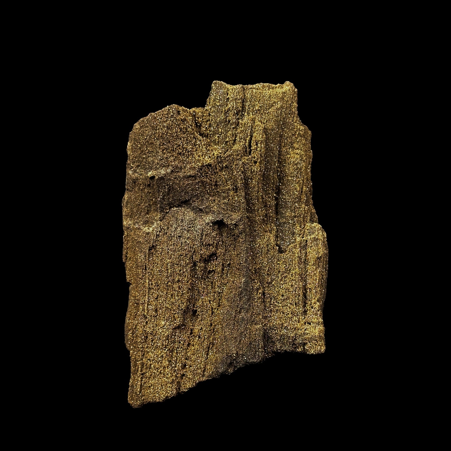 Petrified Wood Natural Mineral Specimen. G #0374