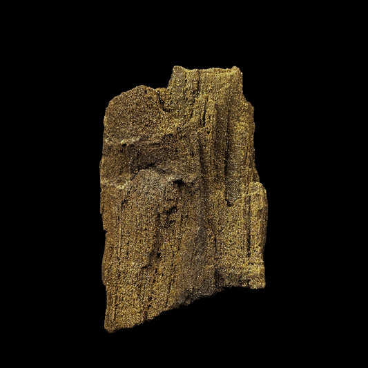 Petrified Wood Natural Mineral Specimen. G #0374