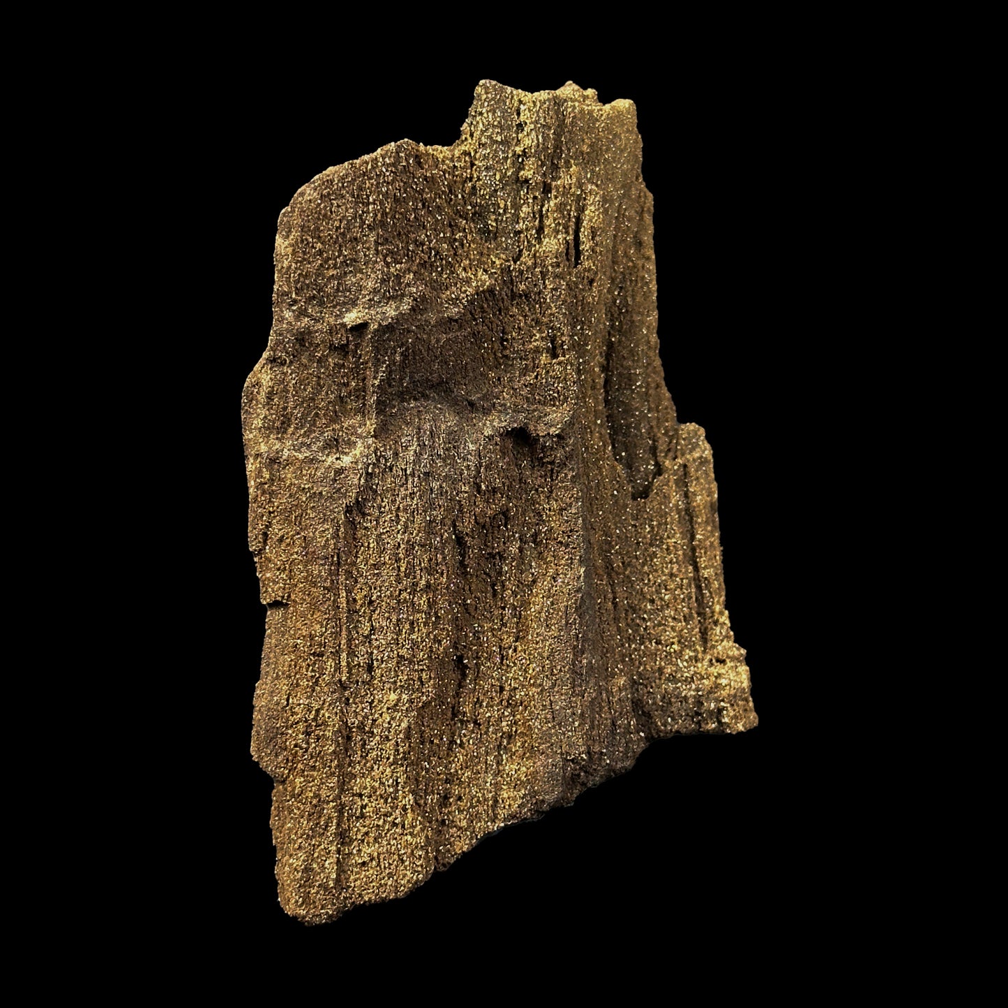 Petrified Wood Natural Mineral Specimen. G #0374