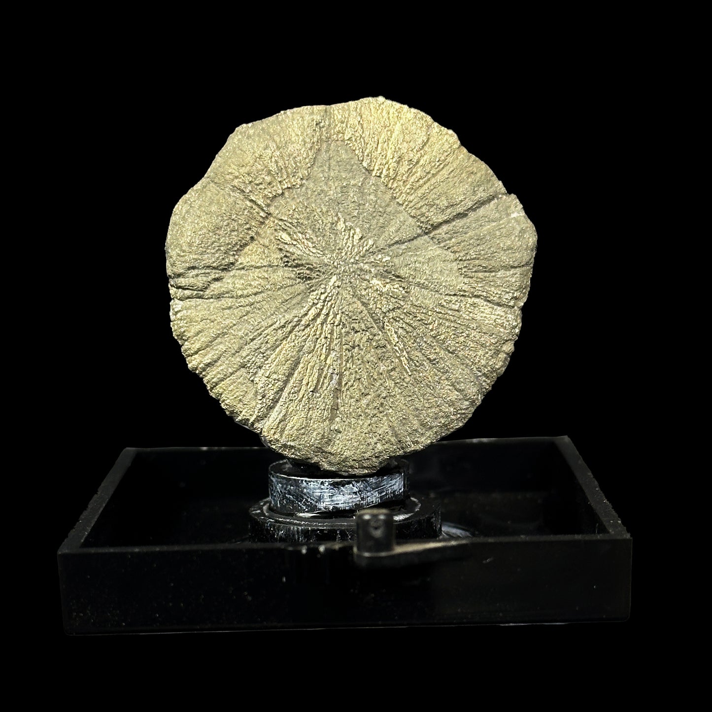 Golden sheen Sun pyrite Natural Mineral Specimen. G #0376