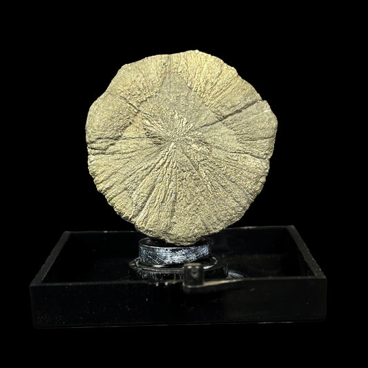 Golden sheen Sun pyrite Natural Mineral Specimen. G #0376