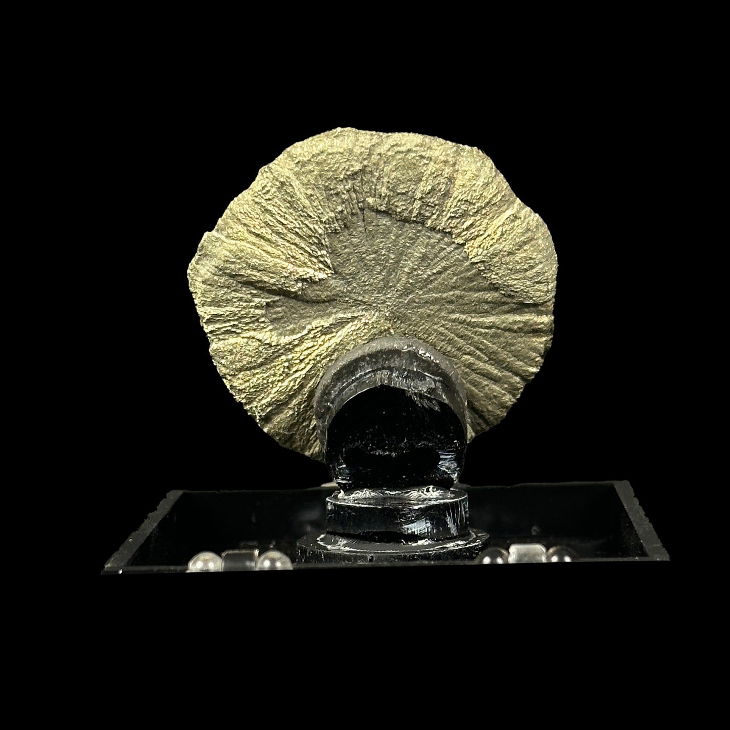 Golden sheen Sun pyrite Natural Mineral Specimen. G #0376
