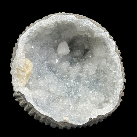 Goosecreekite with mm Quartz Natural Mineral Specimen. G #0382