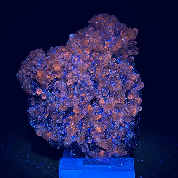 Super Rare Calcite With Spalarite Natural Mineral Specimen from Elmwood Mine , Tennessee  (UV Reactive)G #0381