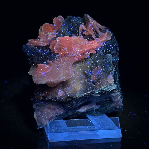 Rare Calcite with Pyrite And mm Quartz (UV Reactive) Natural Mineral Specimen. G #0399