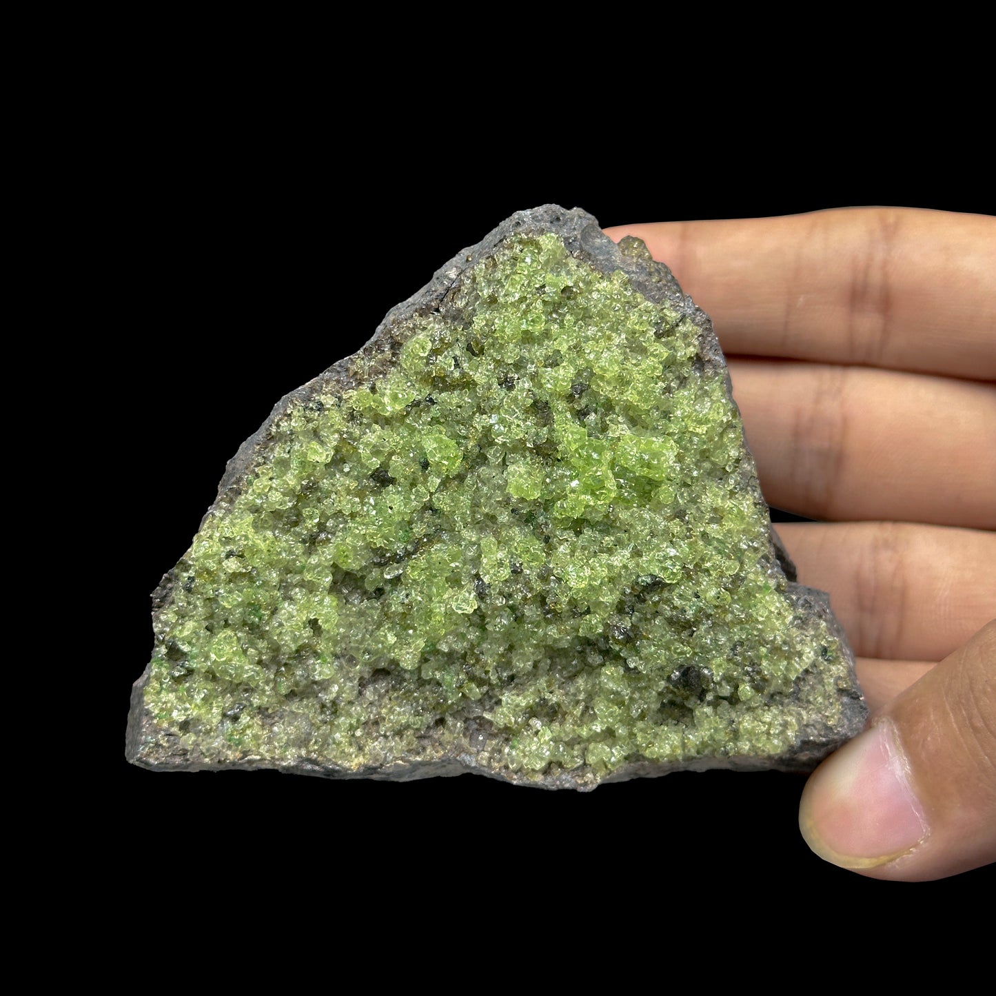 Peridot Cluster Natural Mineral Specimen. G #0415