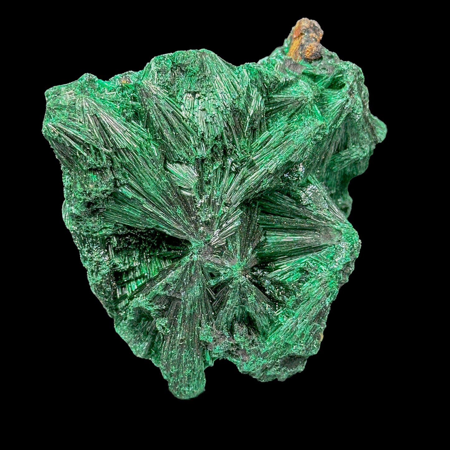 Malachite Cluster Natural Mineral Specimen. G #0419