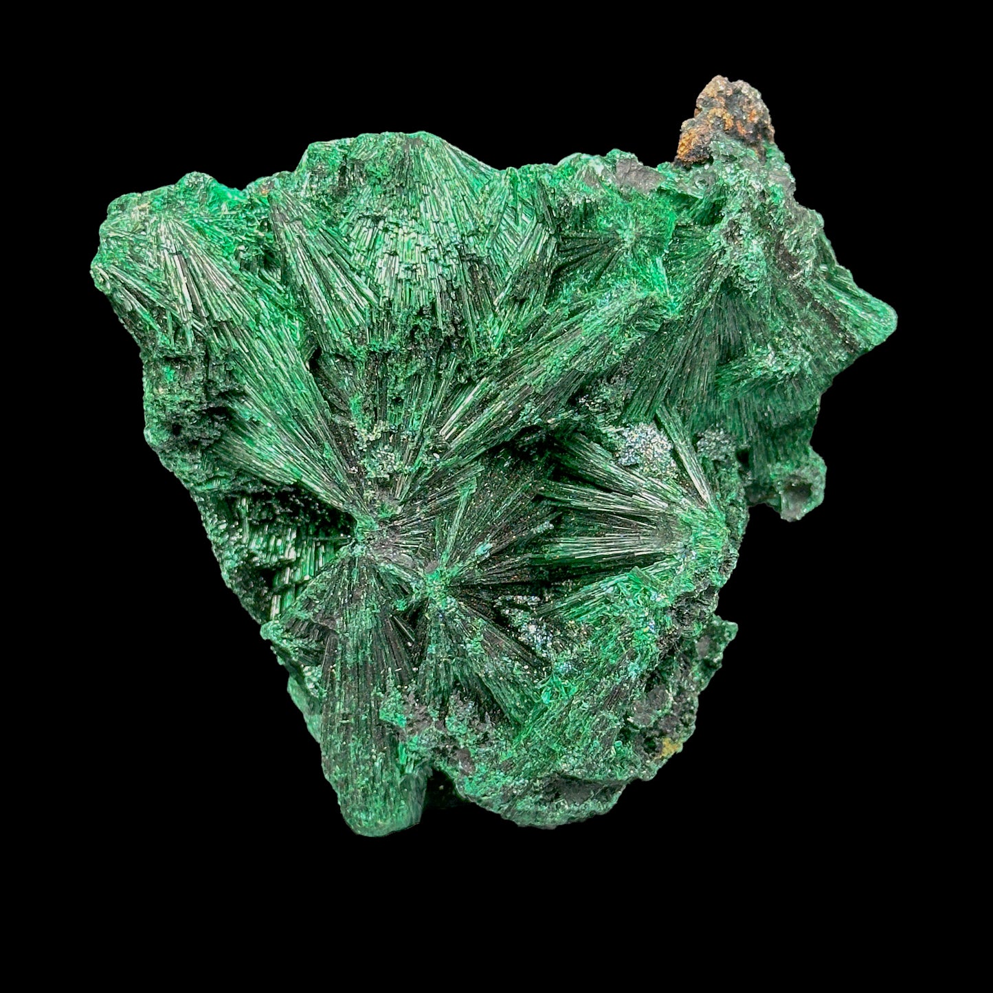 Malachite Cluster Natural Mineral Specimen. G #0419