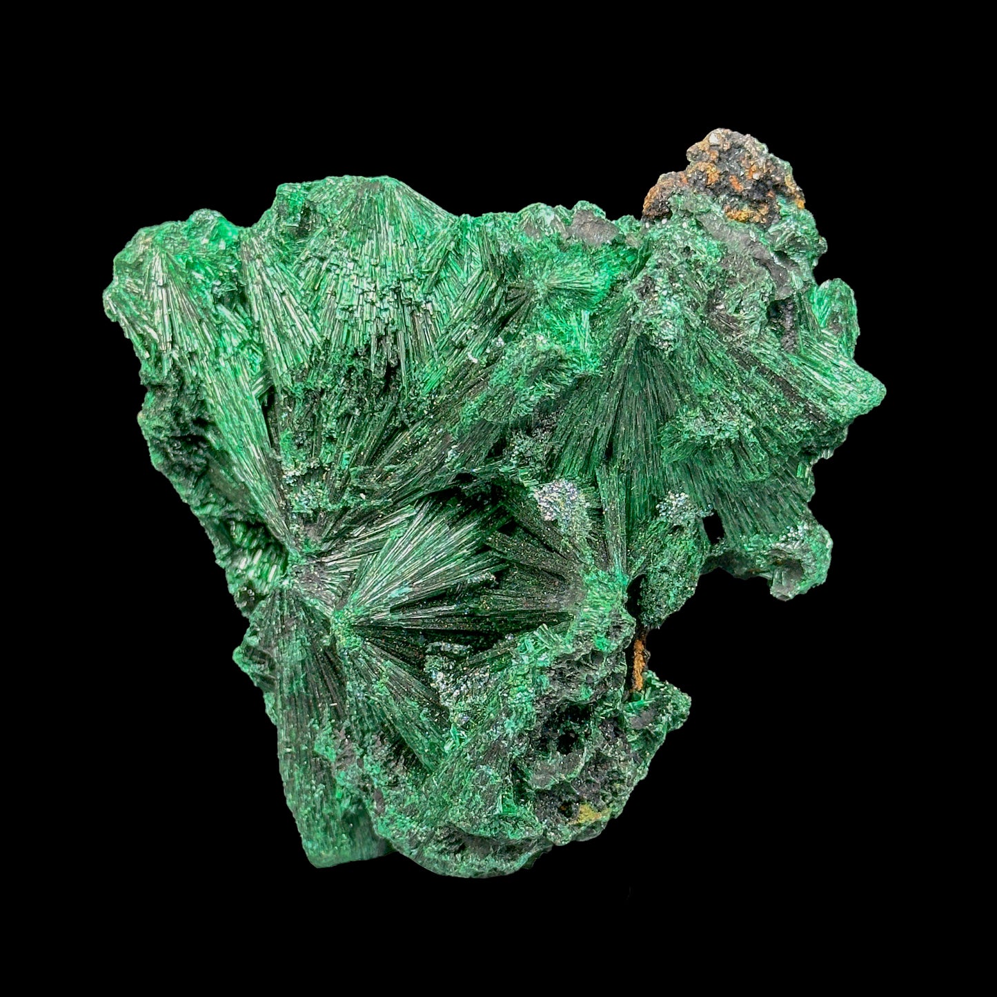 Malachite Cluster Natural Mineral Specimen. G #0419