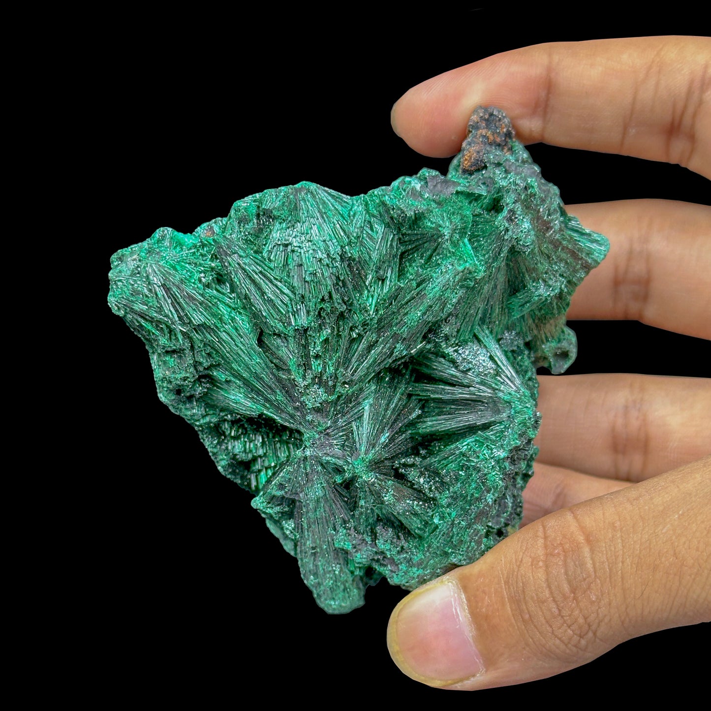 Malachite Cluster Natural Mineral Specimen. G #0419