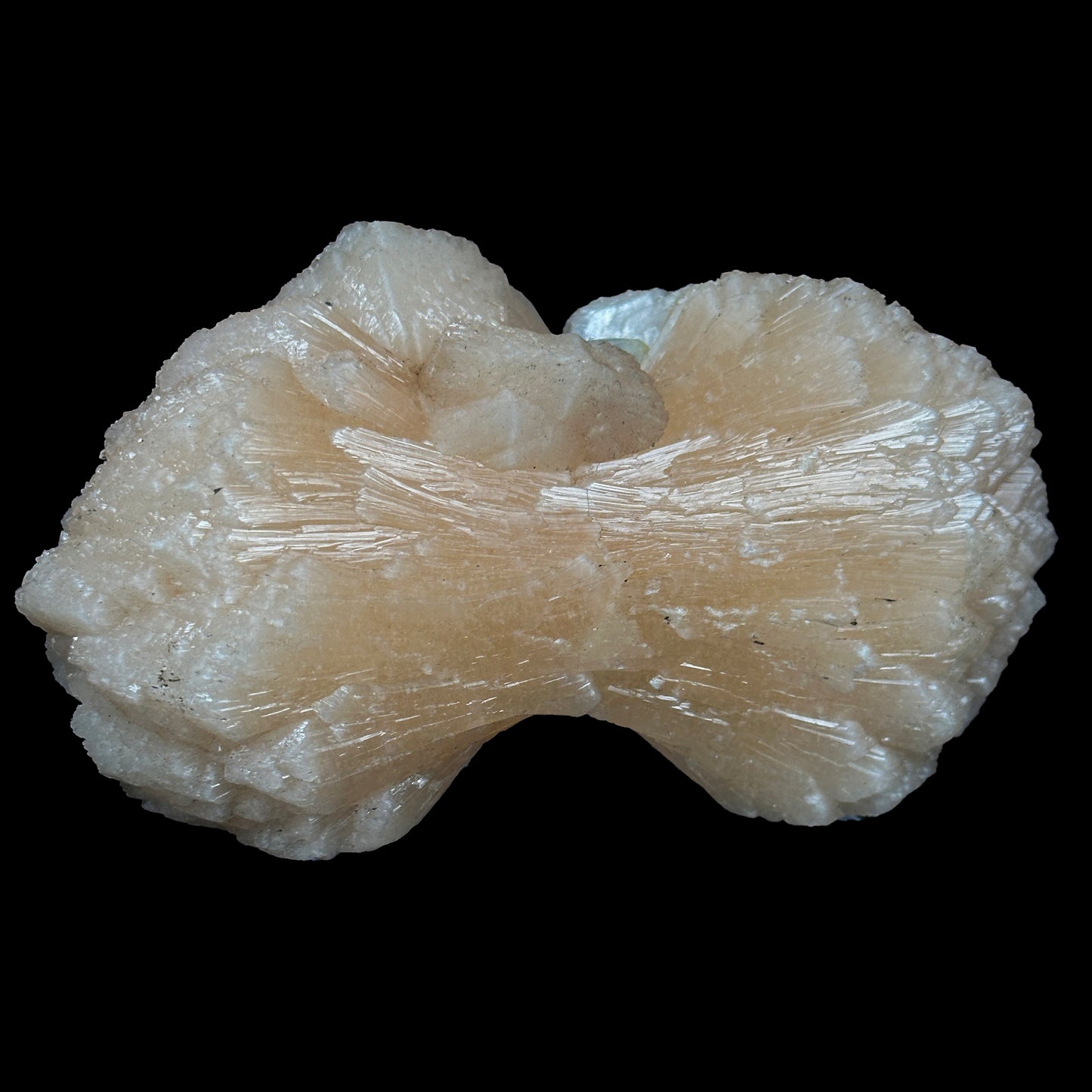 Bow-Tie Formation Stilbite With Apophyllite Natural Mineral Specimen. G #0421