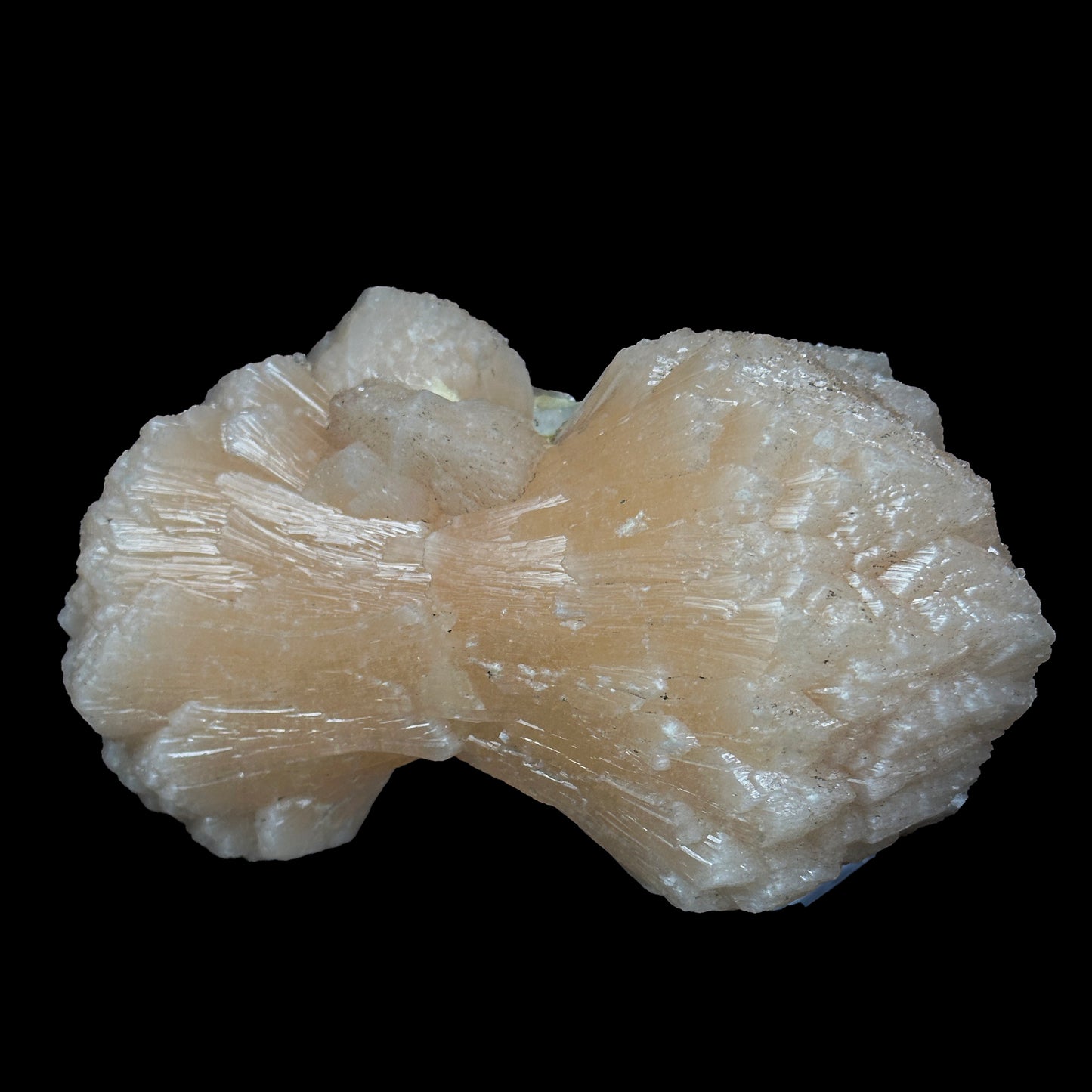Bow-Tie Formation Stilbite With Apophyllite Natural Mineral Specimen. G #0421