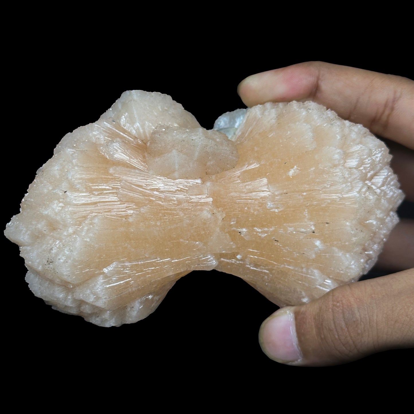 Bow-Tie Formation Stilbite With Apophyllite Natural Mineral Specimen. G #0421