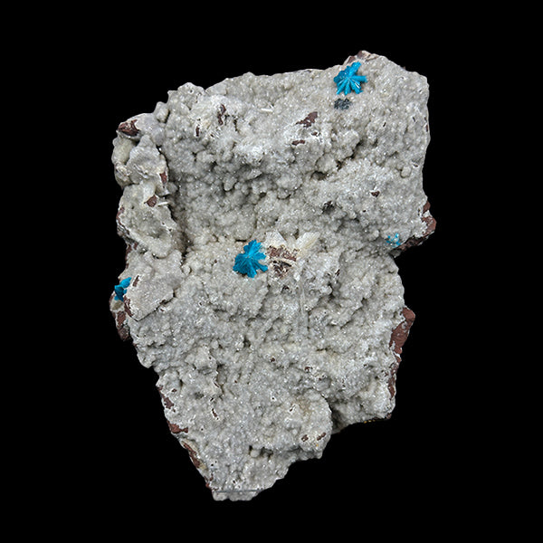 Cavansite With Heulendite Natural Mineral Specimen. G #0425
