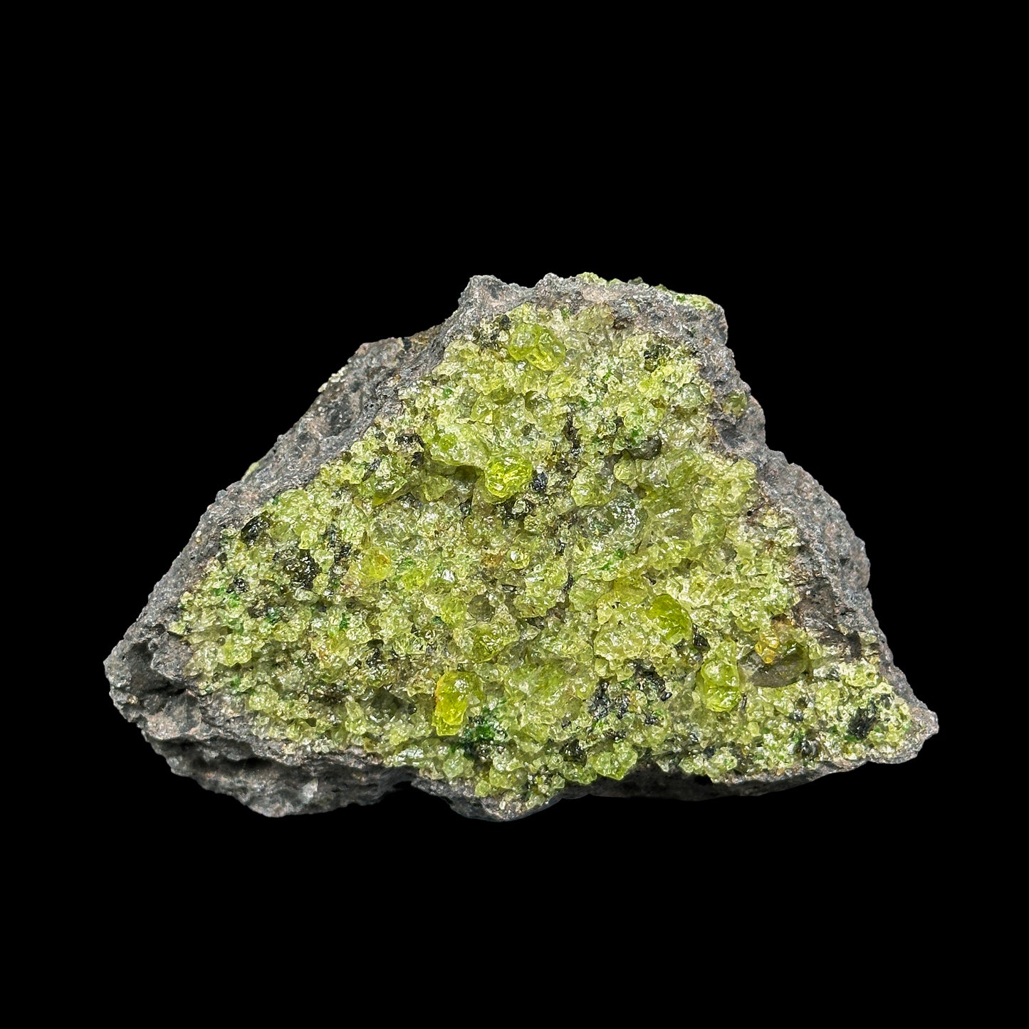Peridot Cluster Natural Mineral Specimen. G #0450