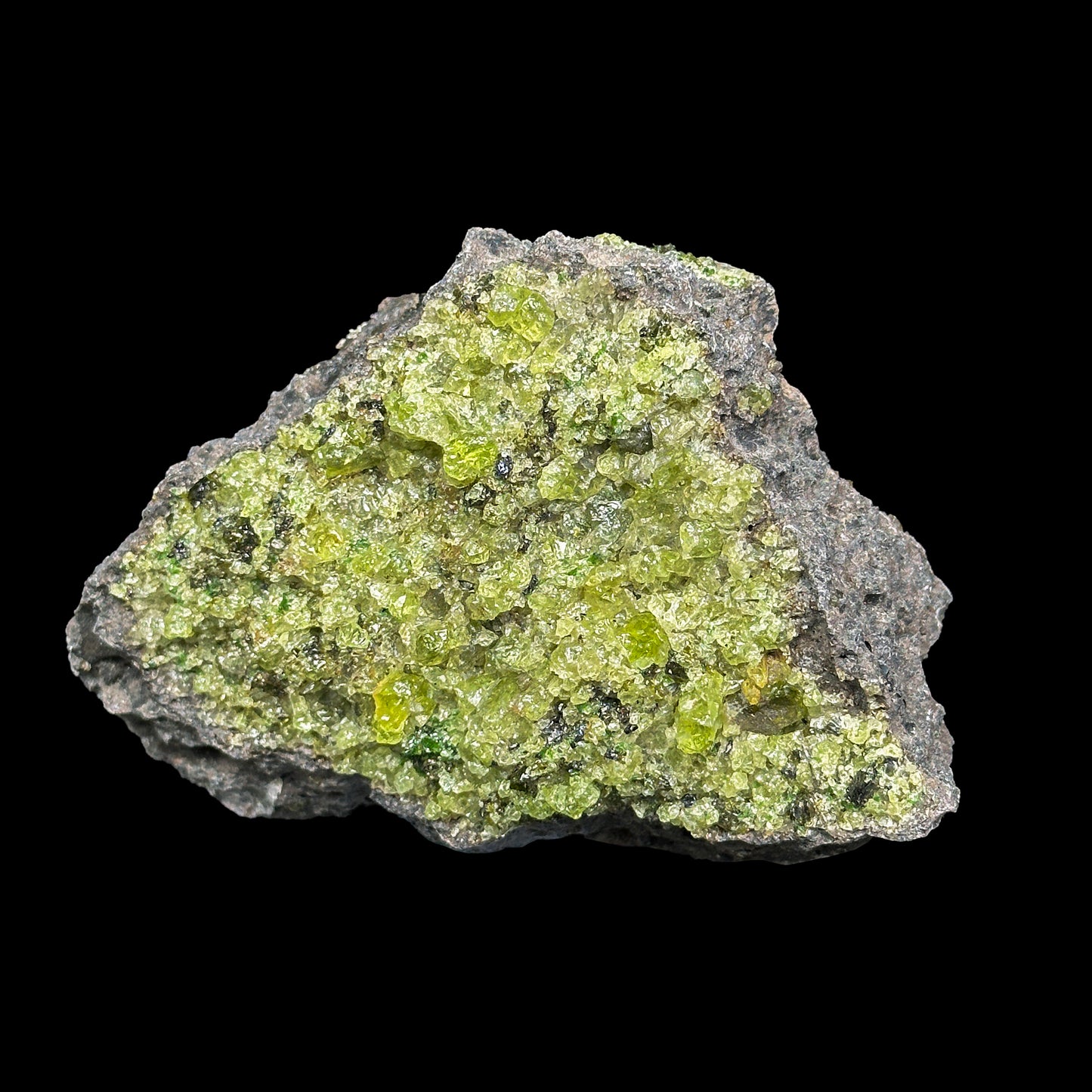 Peridot Cluster Natural Mineral Specimen. G #0450