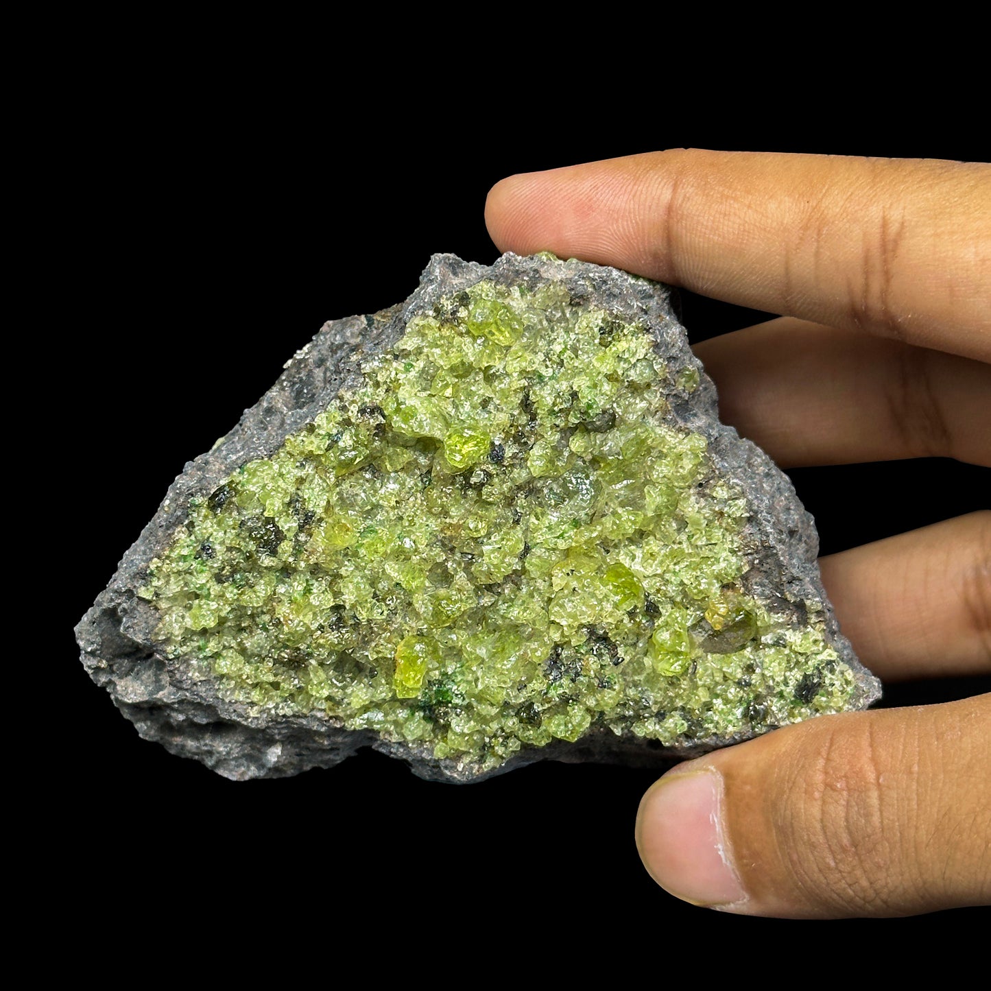 Peridot Cluster Natural Mineral Specimen. G #0450