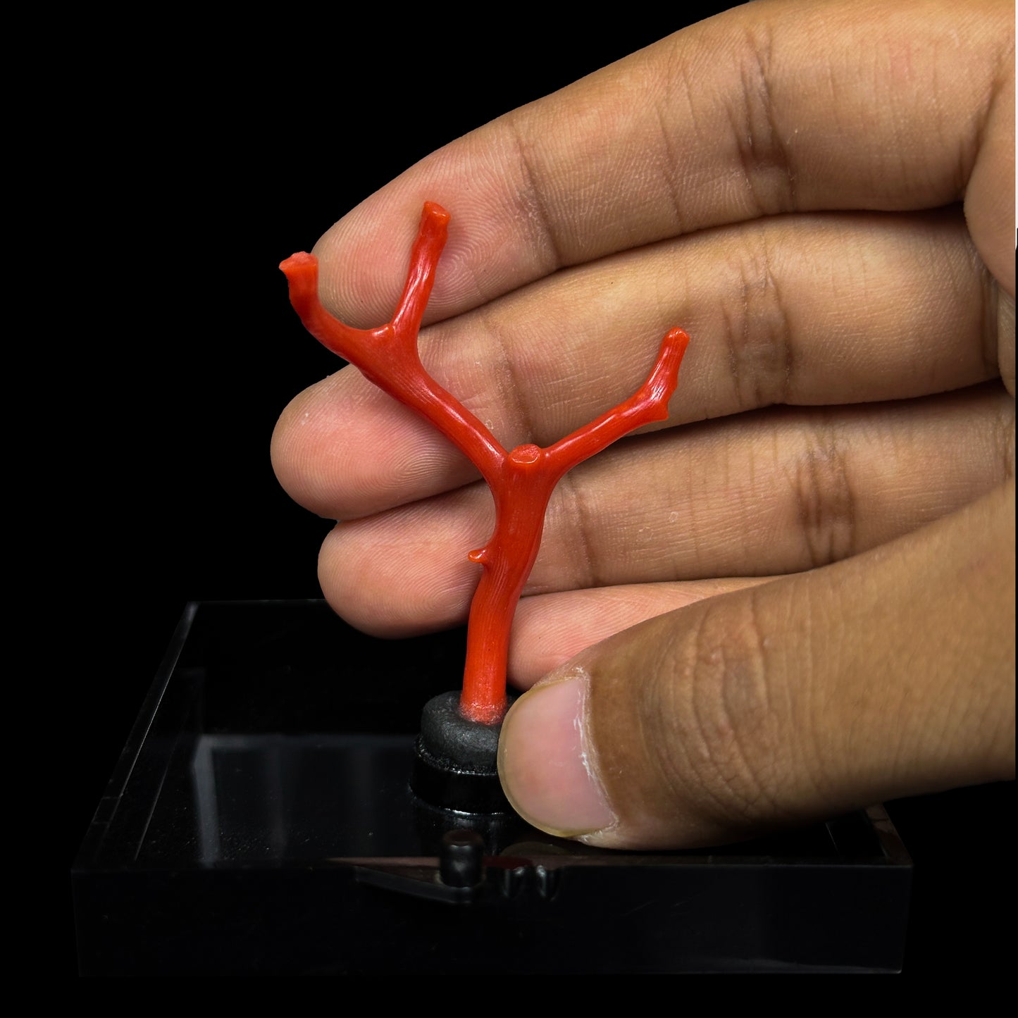 Red Coral Natural Mineral Specimen. G #0457