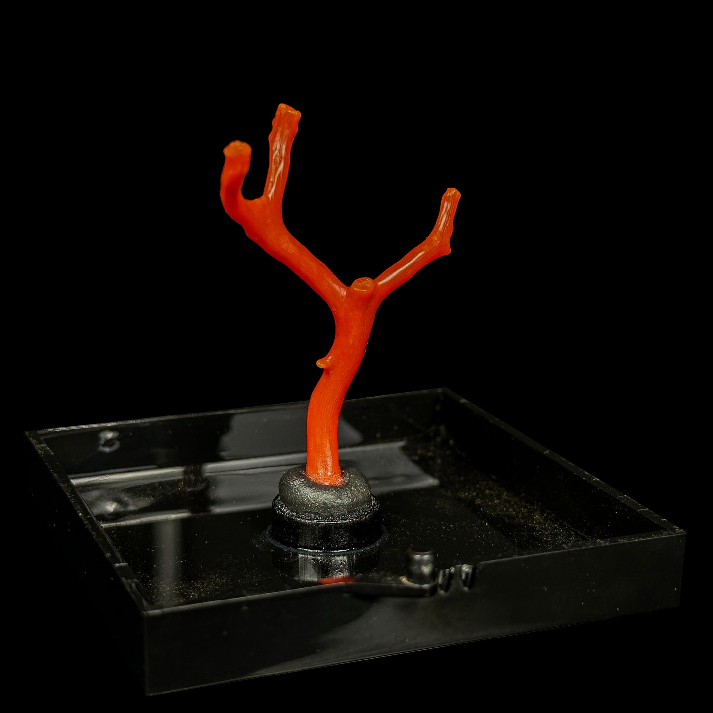 Red Coral Natural Mineral Specimen. G #0457