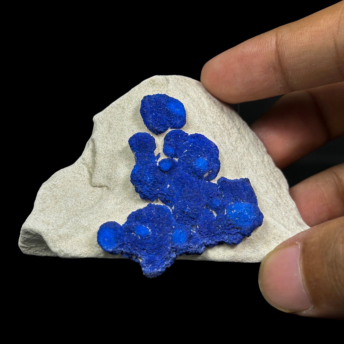 Azurite On matrix Natural Mineral Specimen. G #0468