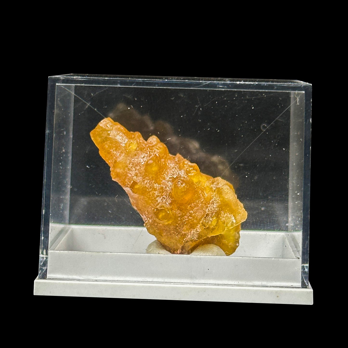 Rare Fossilized Shell Natural Minaral Specimen G #0475
