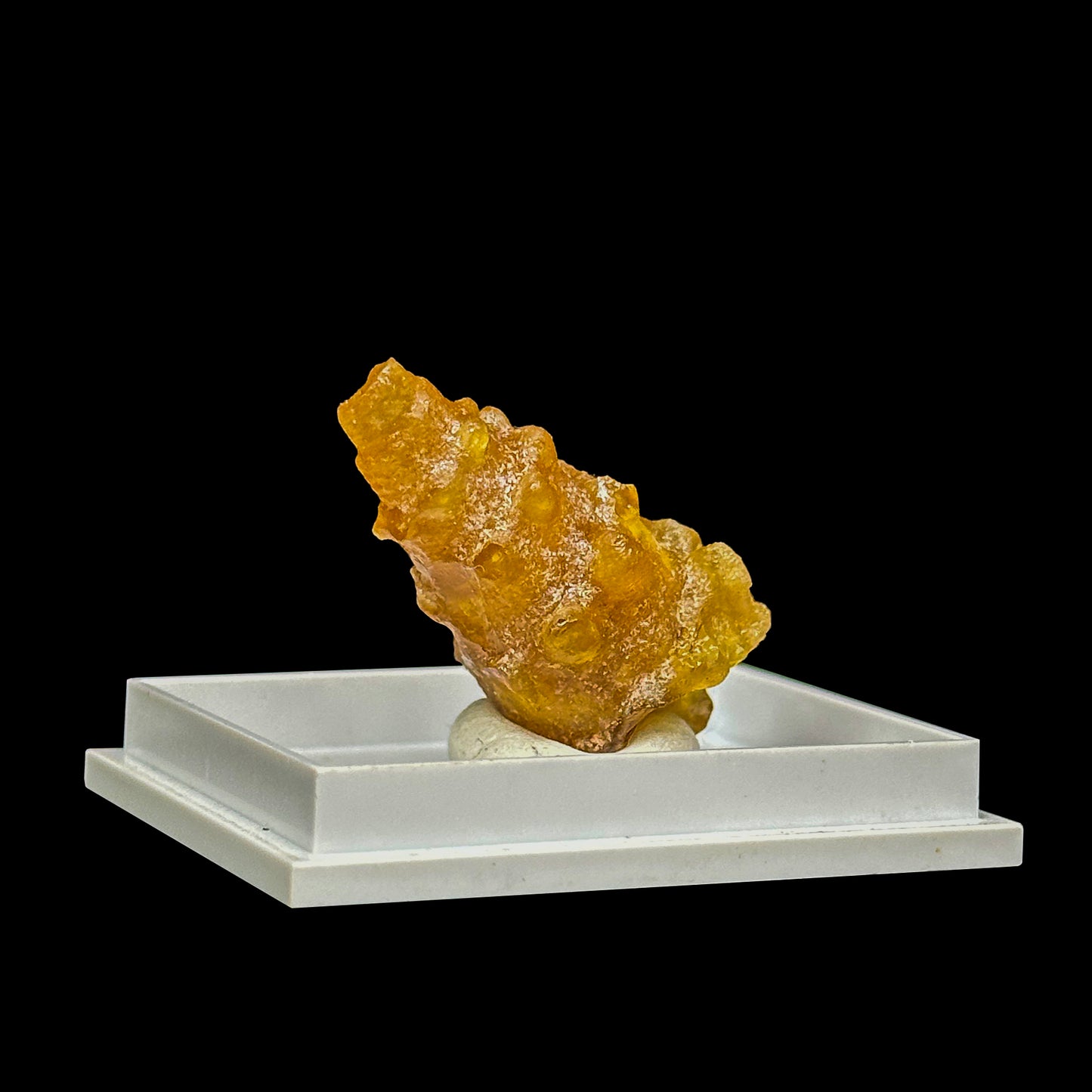 Rare Fossilized Shell Natural Minaral Specimen G #0475