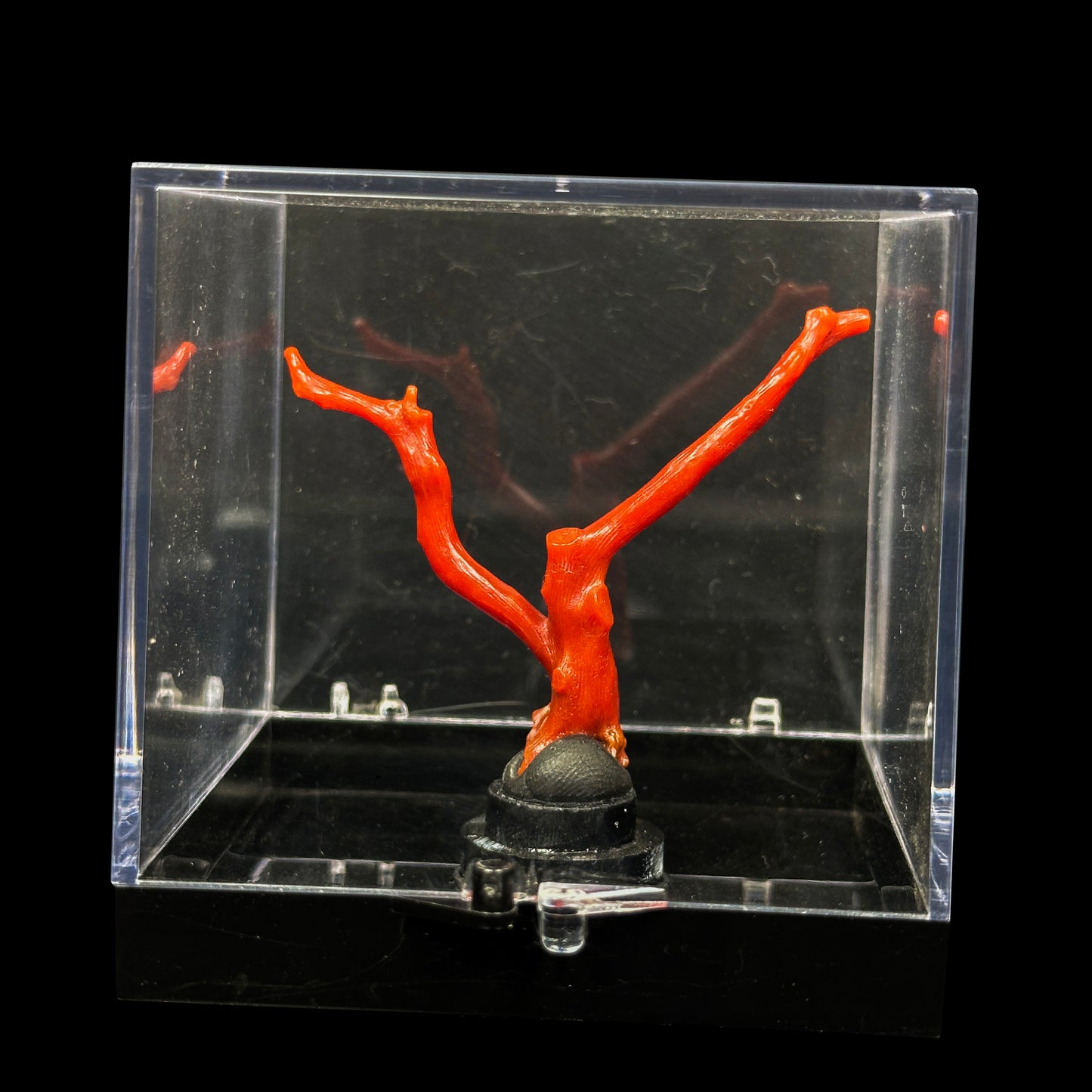 Red Coral Natural Mineral Specimen. G #0472