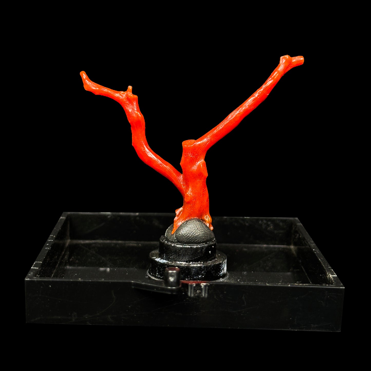 Red Coral Natural Mineral Specimen. G #0472