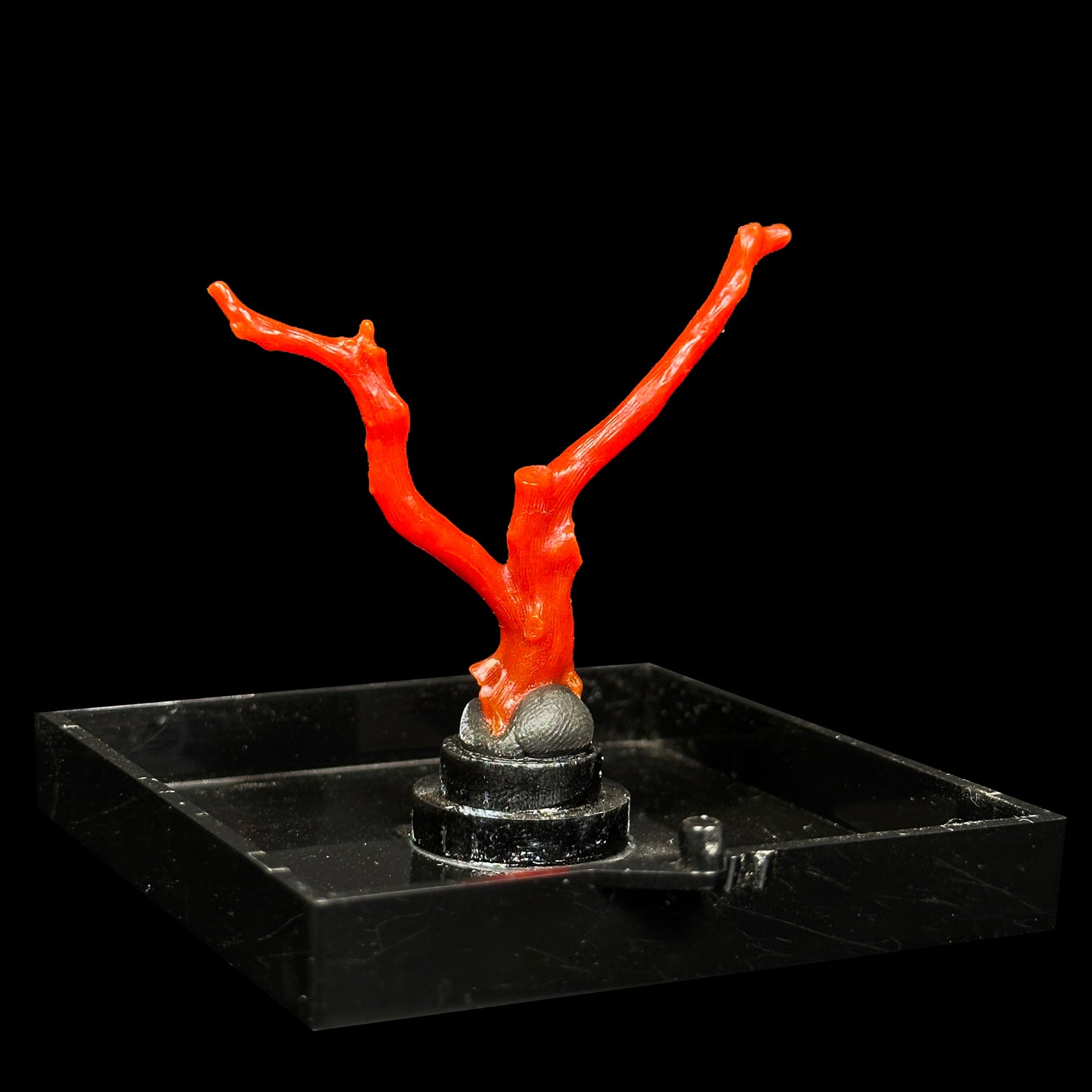 Red Coral Natural Mineral Specimen. G #0472