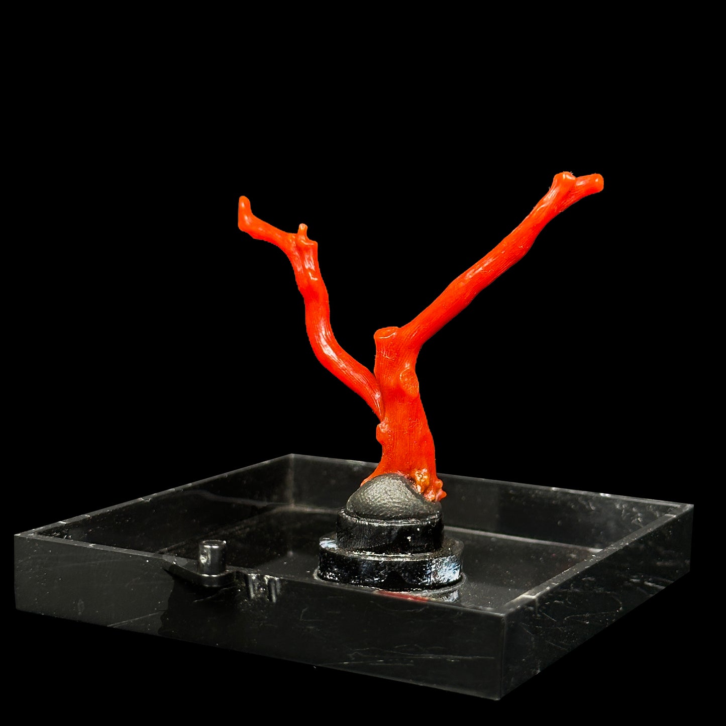 Red Coral Natural Mineral Specimen. G #0472
