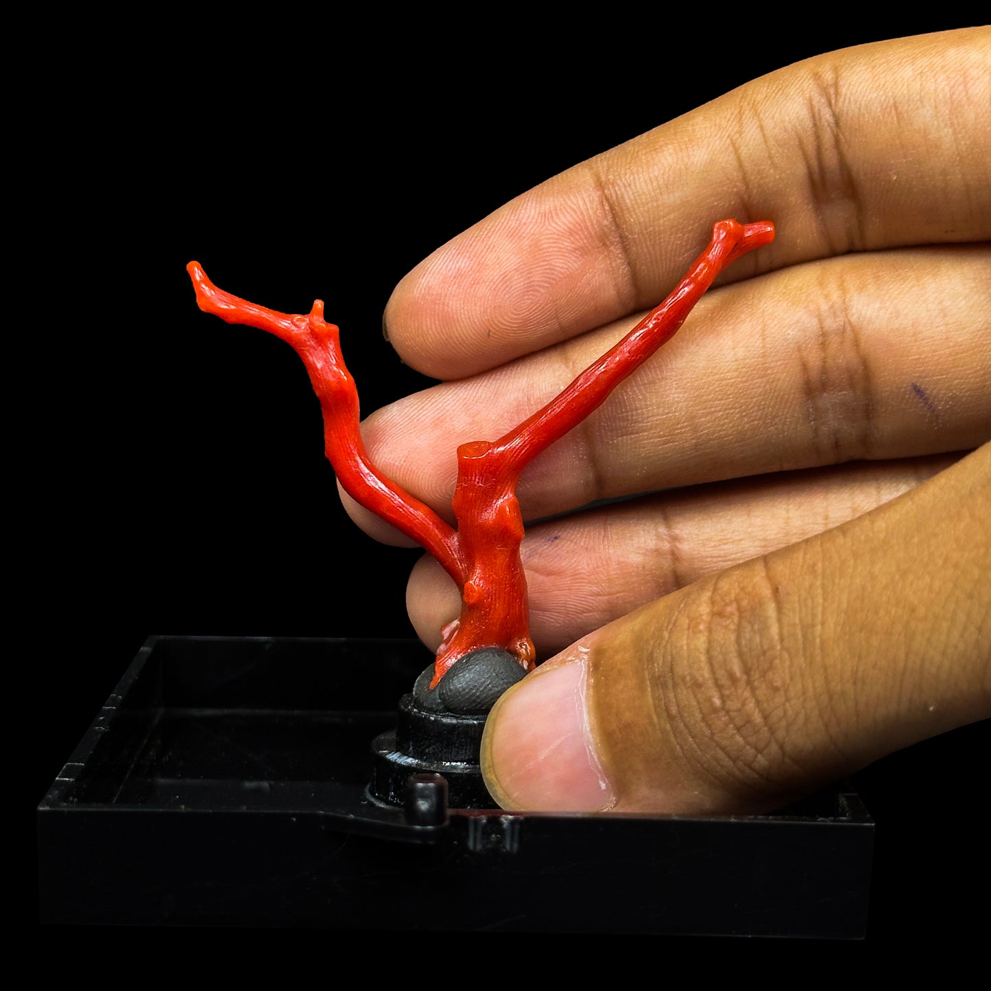 Red Coral Natural Mineral Specimen. G #0472