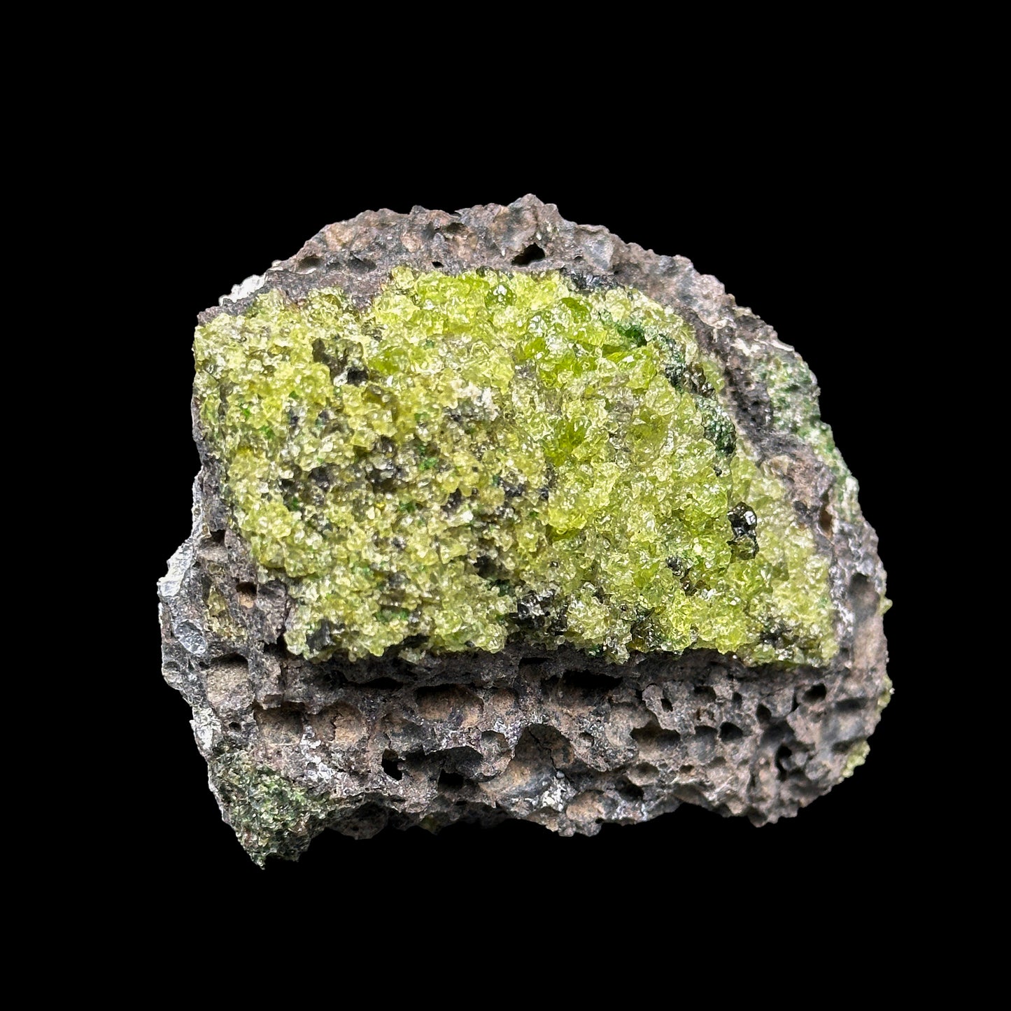 Peridot Cluster Natural Mineral Specimen. G #0477