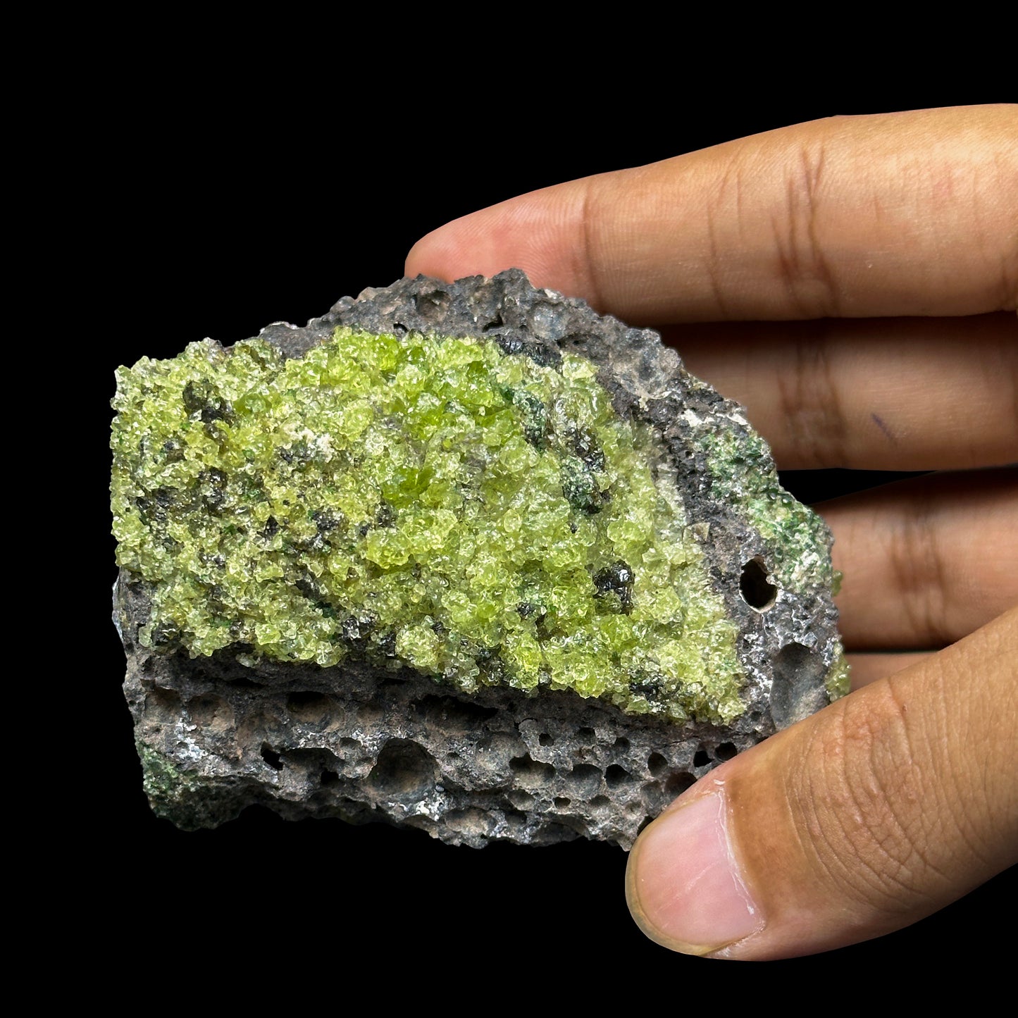 Peridot Cluster Natural Mineral Specimen. G #0477