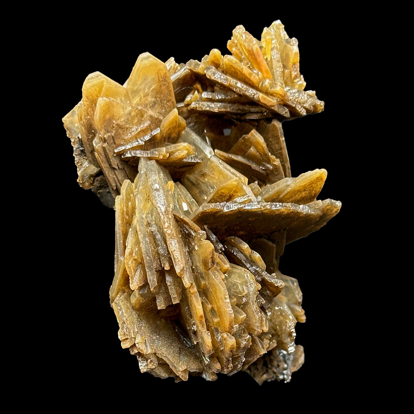 Barite With Hematite Natural Mineral Specimen. G #0473