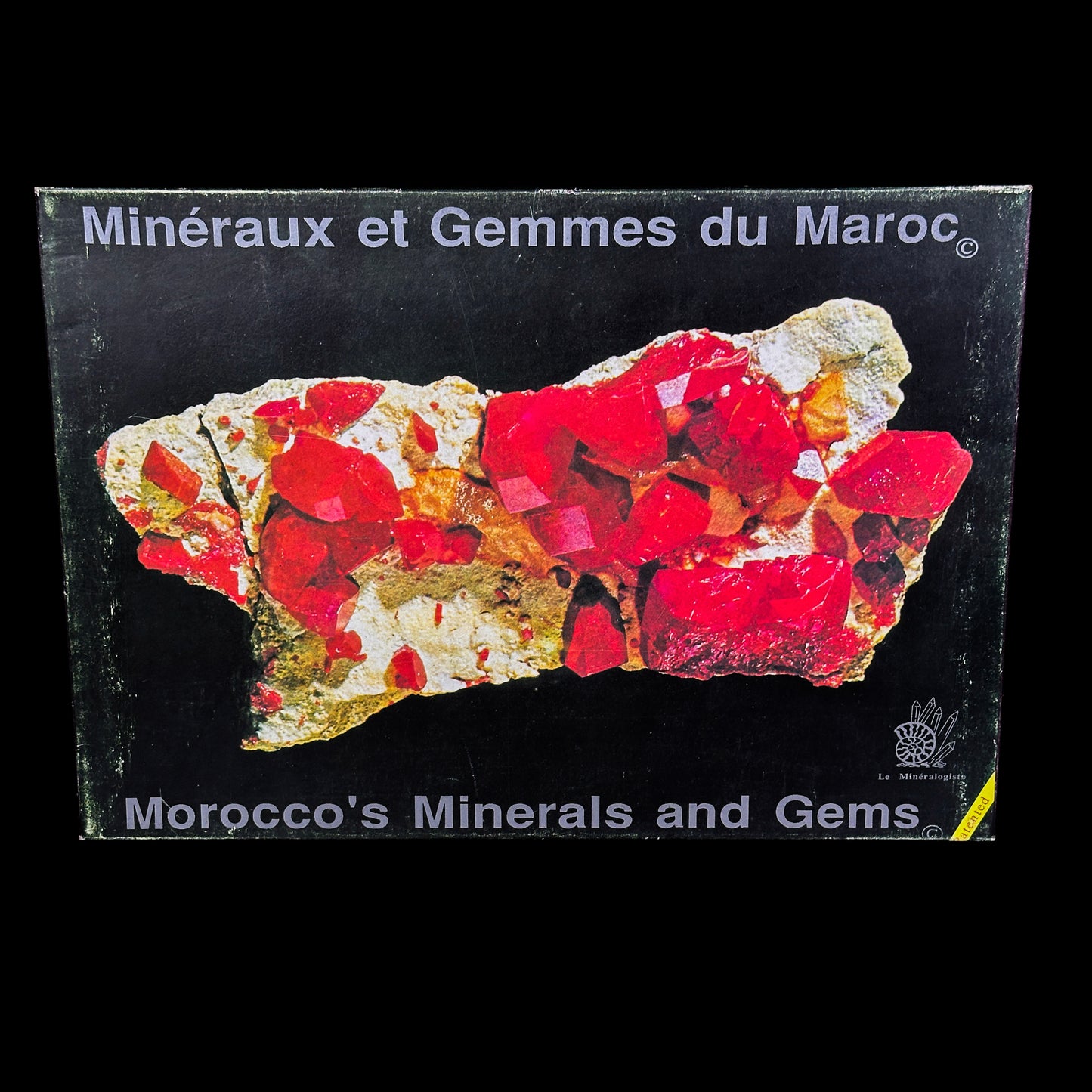 17-Piece Authentic Moroccan Mineral Collection Display – Rare Natural Crystal & Mineral Specimen Set. G #0482
