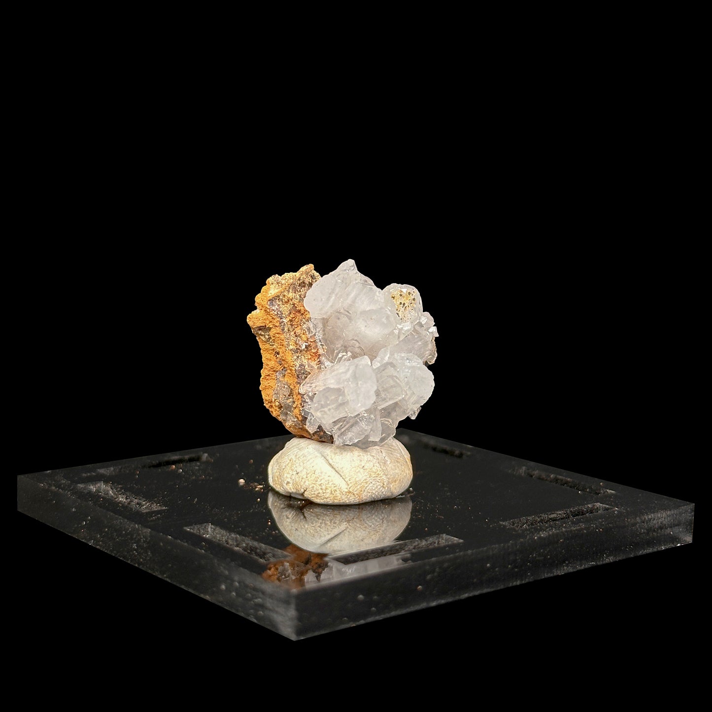 Aragonite Natural Mineral Specimen G #0486