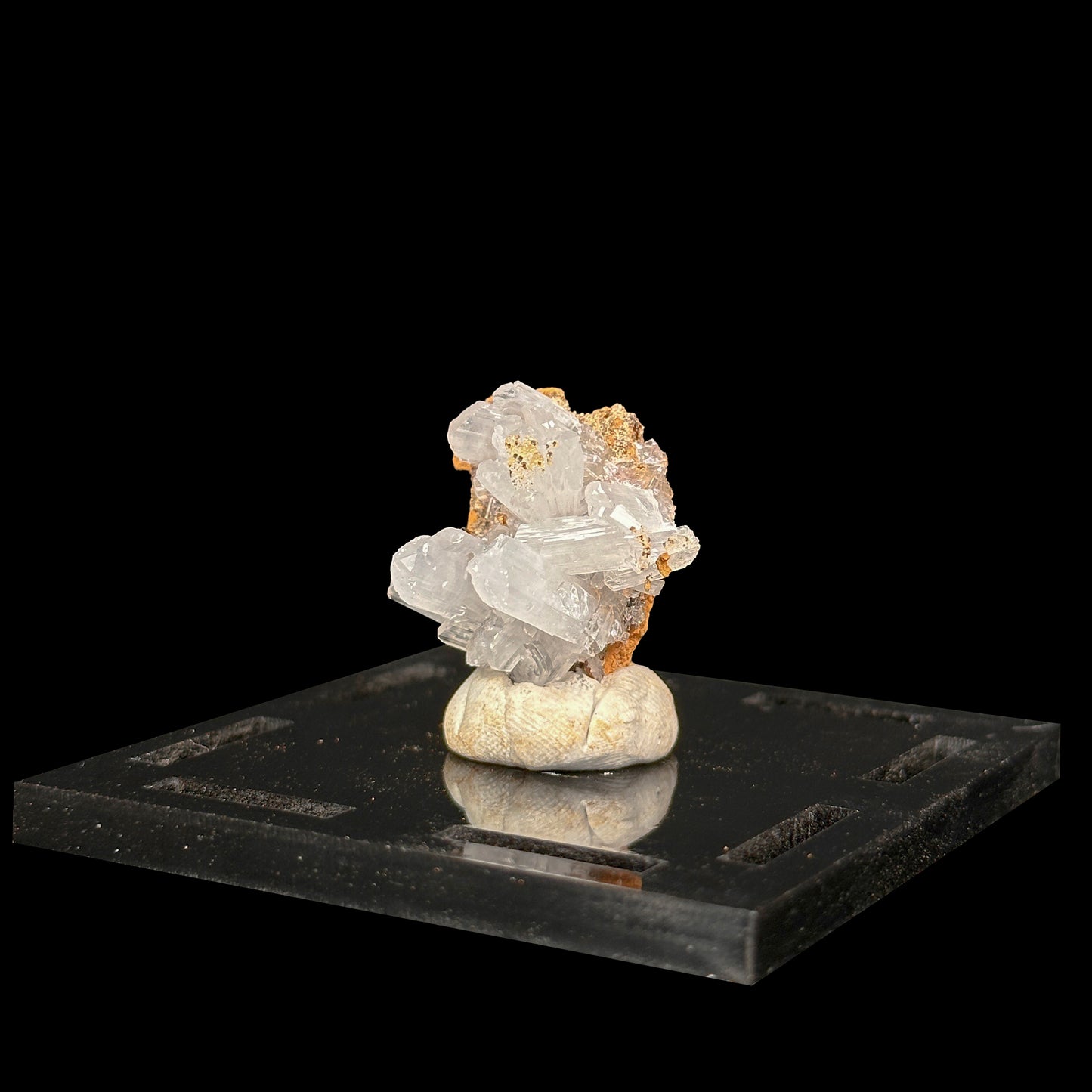 Aragonite Natural Mineral Specimen G #0486