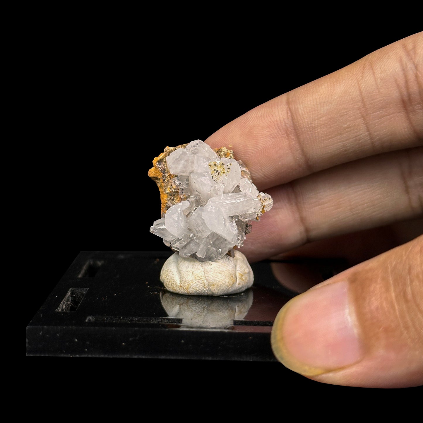 Aragonite Natural Mineral Specimen G #0486