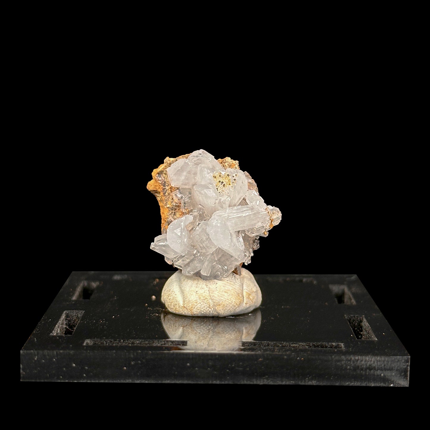 Aragonite Natural Mineral Specimen G #0486