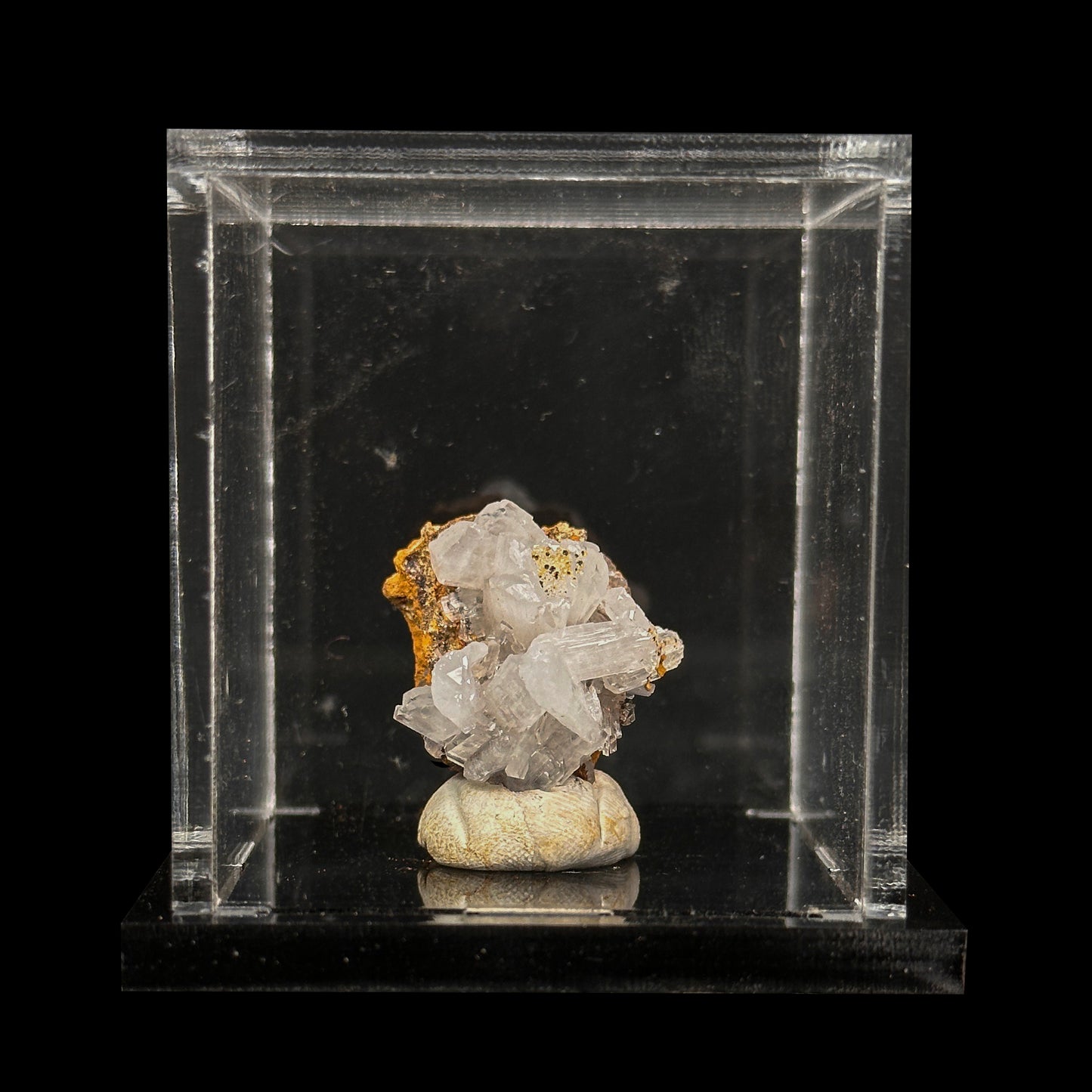 Aragonite Natural Mineral Specimen G #0486