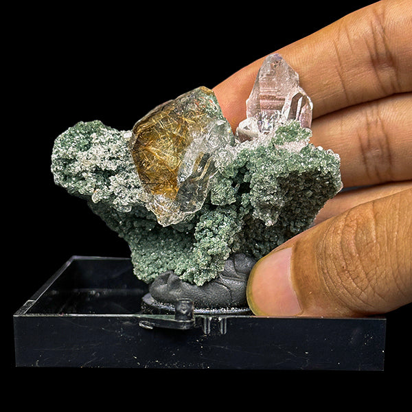 Golden Rutile Clear Quartz With Chlorite inclusion Natural Minaral Specimen G #0489