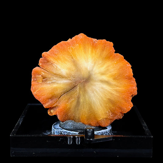 Sunflower Scolecite Natural Minaral Specimen G #0493
